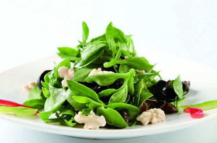 新鮮蔬菜 田七葉 穿心菜 田七 時(shí)鮮蔬菜500g江浙滬皖任搭5件包郵_9