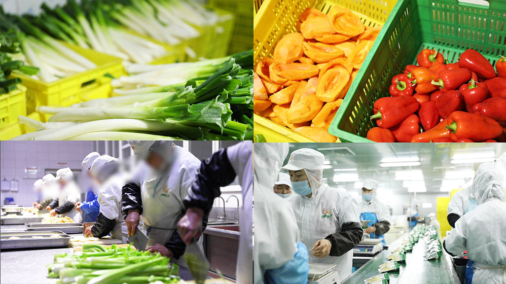 食品生產蔬菜加工