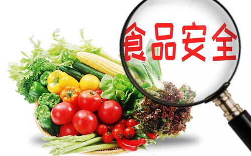 蔬菜也有 身份證 了 手機(jī)掃一掃看蔬菜的 前世今生