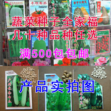 大白瓜價格_今日最新大白瓜價格行情走勢 