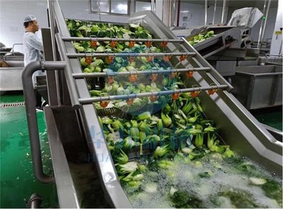 諸城市華邦機械(圖)-草藥清洗設備廠-呂梁草藥清洗設備