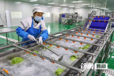 鹽堿地上的蔬菜進京了