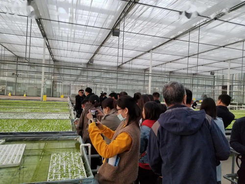 廊坊百姓的數(shù)字生活 重點網(wǎng)絡(luò)媒體集中采訪行走進(jìn)永清