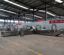 蔬菜殺青漂燙線優質商家置頂推薦產品