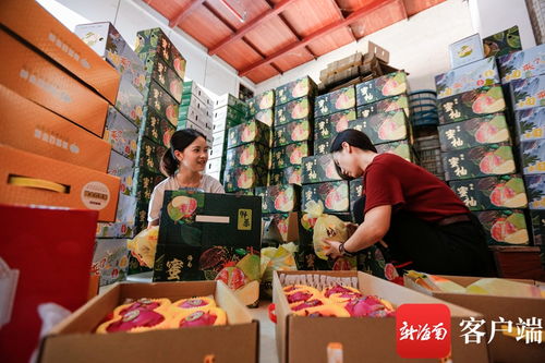 搭乘電商快車 海南農(nóng)產(chǎn)品暢銷國(guó)內(nèi)國(guó)際市場(chǎng)