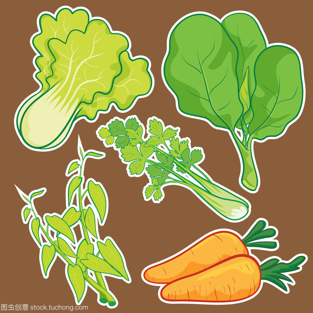 可愛的蔬菜集 農(nóng)副產(chǎn)品收購(gòu)的溫馨畫卷