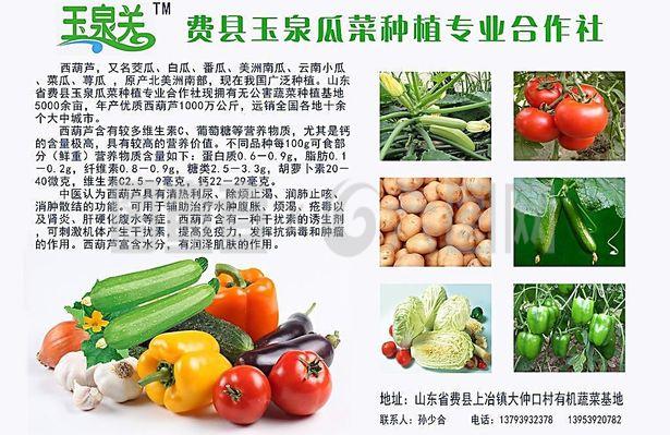 新鮮直達，品質承諾——綠色蔬菜產品宣傳與農副產品收購服務